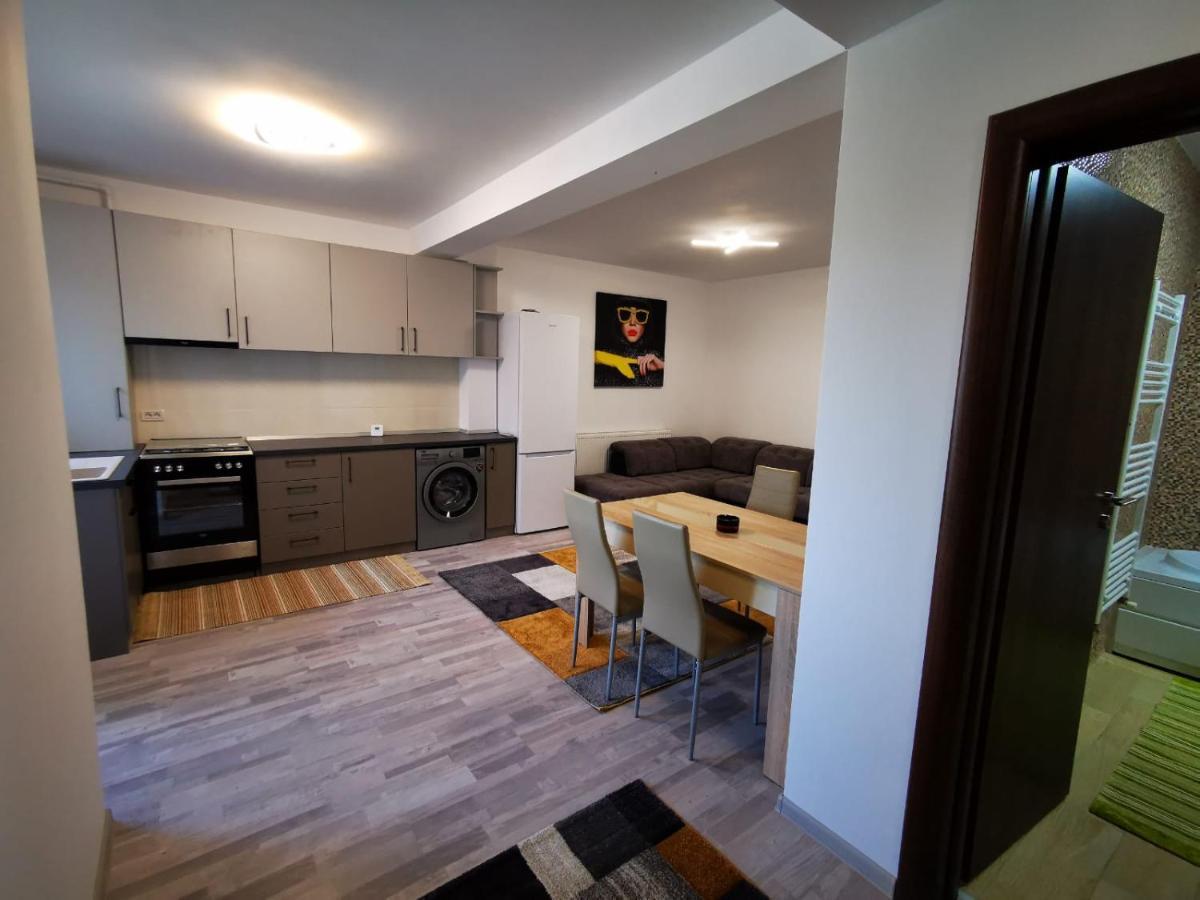 Appartement Sorinapartament à Braşov Extérieur photo